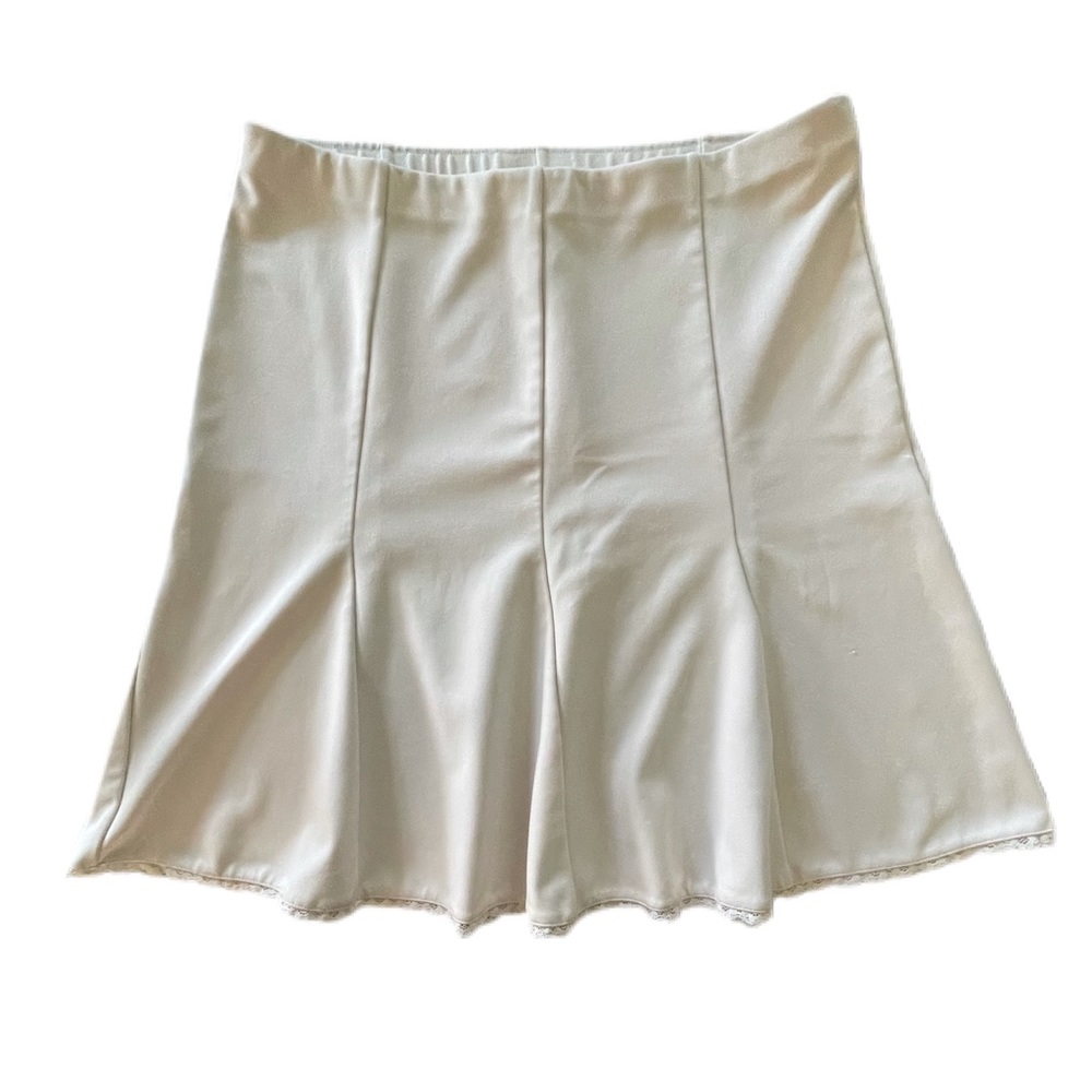 Express Aline Skirt